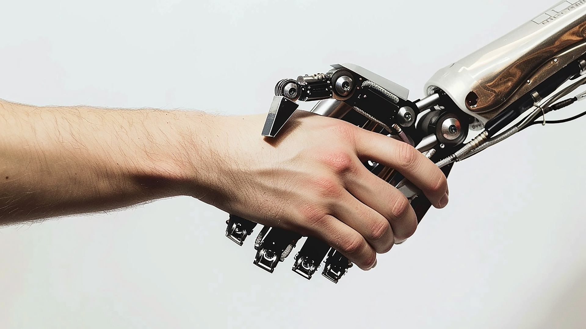 Team working session